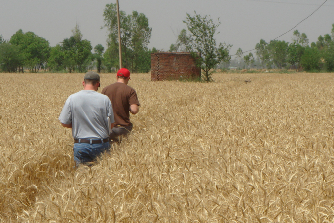 Doug and Sam walking through the wheat