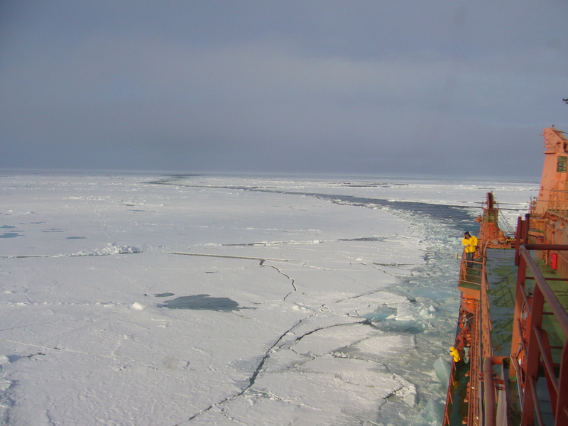 Zig-zag course of the ship through the ice