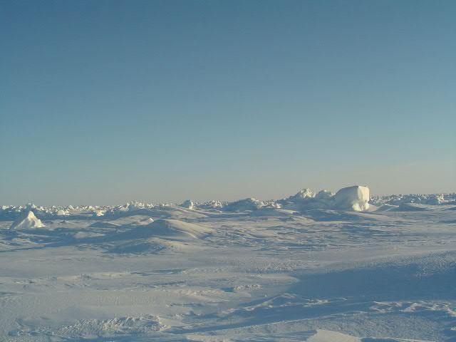 Looking south from the pole again