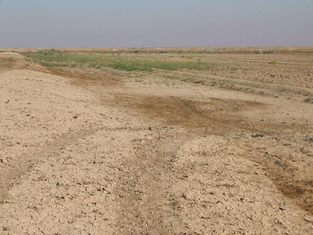 The area of the Confluence