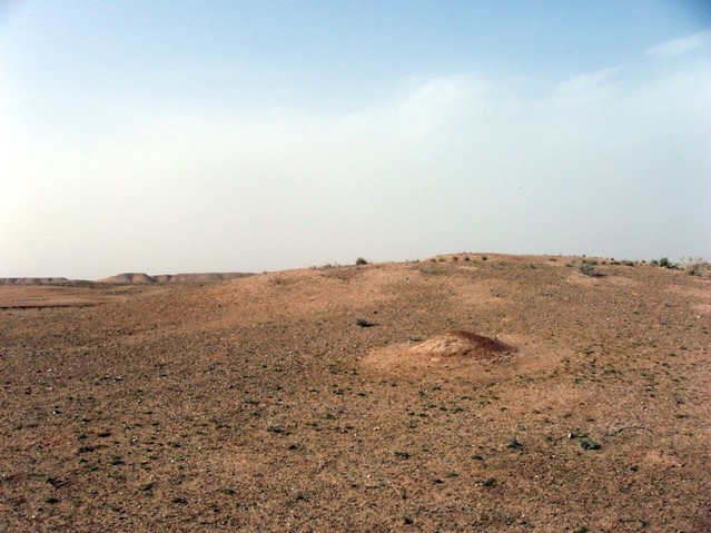 North view with the ant hill on the point