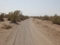 #9: Sandy track to the Confluence