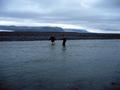 #8: Wading the most dynamic river in Europe