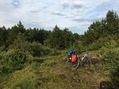 #9: Bicycle parking in a forest