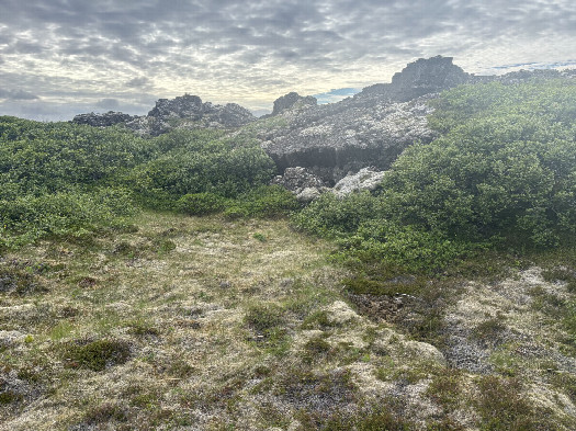 #1: Looking West