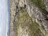 #11: Lava Terrain