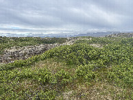 #3: Looking East