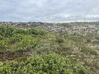 #4: Looking South