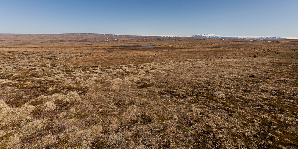 View from highway 1 2.9 km from CP, across Holtavörduheidi, Eiríksjökull and Langjökull in the southeast