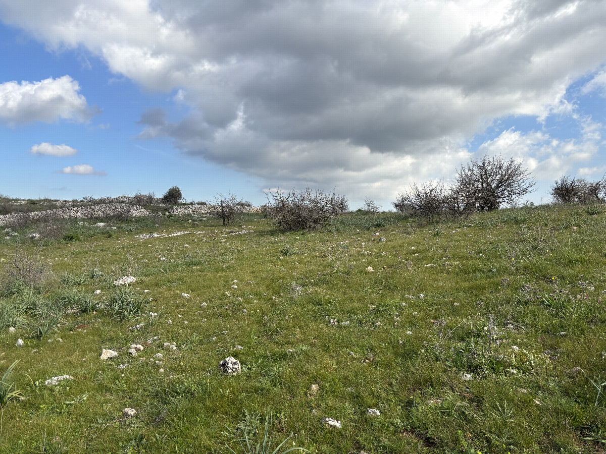 General view of the CP