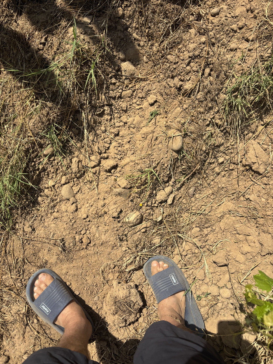 Flipflops on the ground