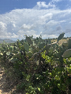 #3: Looking South