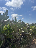 #4: Looking West