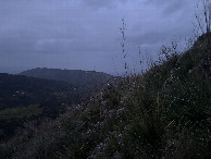 #5: View to the West