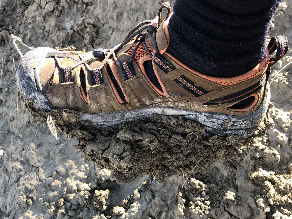 Muddy Walk!