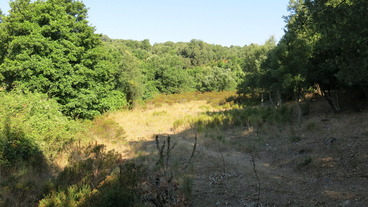 #1: Location from a distance of 60 m