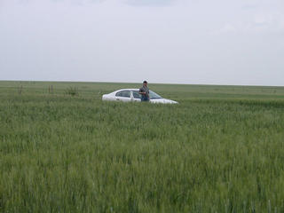 #1: Enormous wheat fields