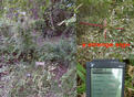 #7: Reference plate ~50 m from exact CP with GPS reading and strange sign