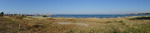 #1: N-E-S Panoramic view standing on the 42nd parallel on the beach