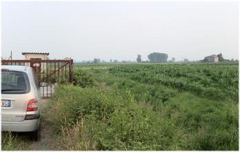 #1: Confluence behind the gate in the corn field