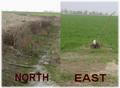 #7: Left to north – just ploughed / right to east – green & irrigated