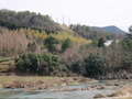 #9: View from Kakogawa river