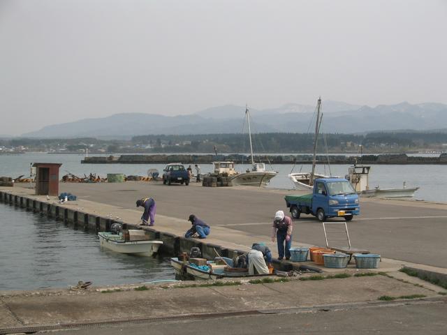 Hiranai harbor; manager w/ blue Toyota talks to boatman in distance to no avail