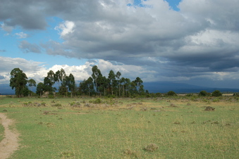 #1: East towards Mt Kenya (in the cloud)