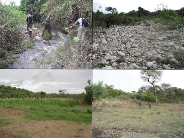 The final kilometer hike to the Confluence crossed streams, a dry riverbed, ripe corn (maize) fields, and cleared land