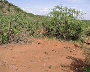 #1: 3S 38E is located near Intersection 36 in Tsavo West NP.