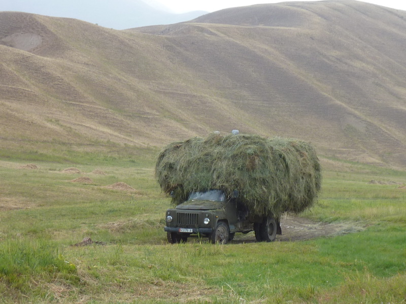 A lorry with hay for the cattle in the coming winter