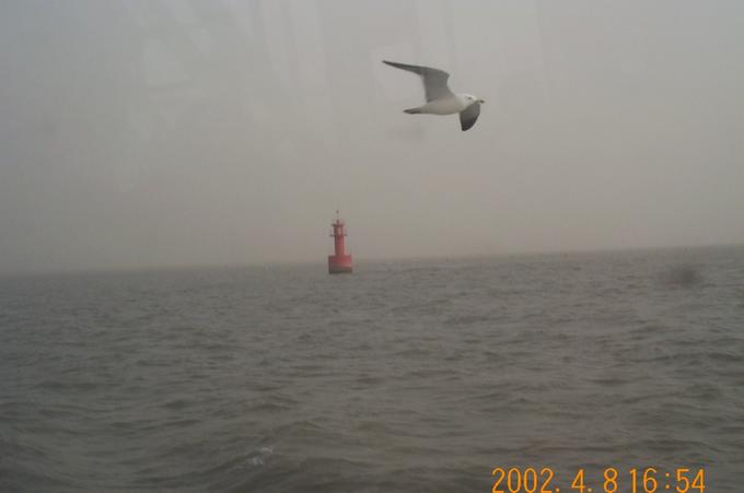 Picture taken during the boat trip; I wish I was as free from the political dispute as this bird so I can properly visit the confluence point.