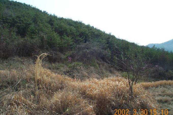 Looking south; the swamp here (not very visible) prevented me from standing on the exact point a mere tens of meters away.