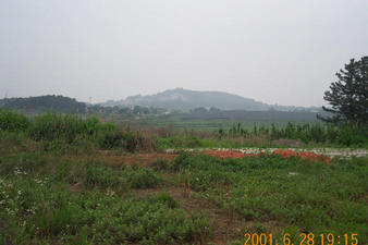#1: Looking west; the local area had a variety of crops growing in the fields.
