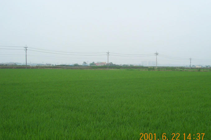 Looking northeast; Changsin Elementary School is visible.