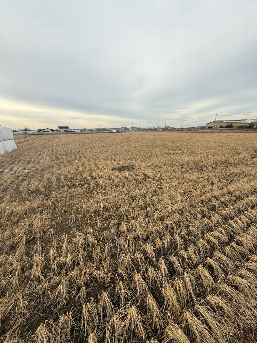 General area. Empty patch marking the confluence visible.