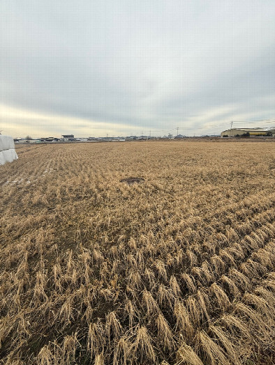 #1: General area. Empty patch marking the confluence visible.