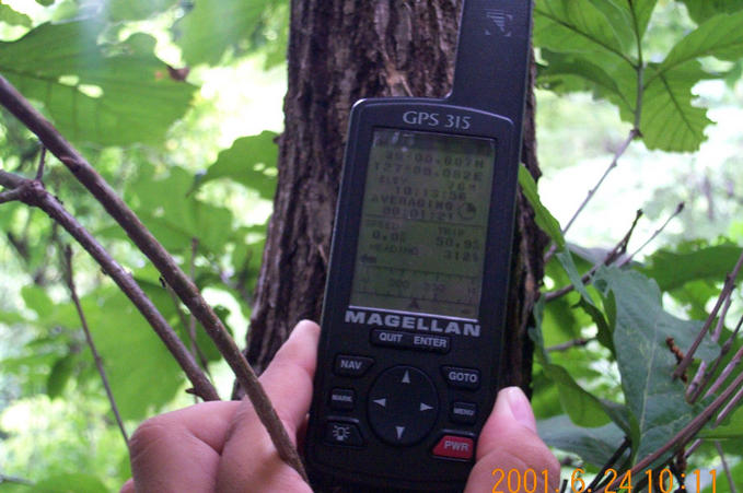 Fixing the GPS on a tree; the coordinates are visible.