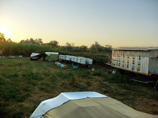 The beekeepers camp