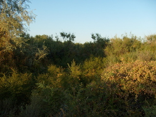 #1: Looking towards the confluence; distance: 70 m