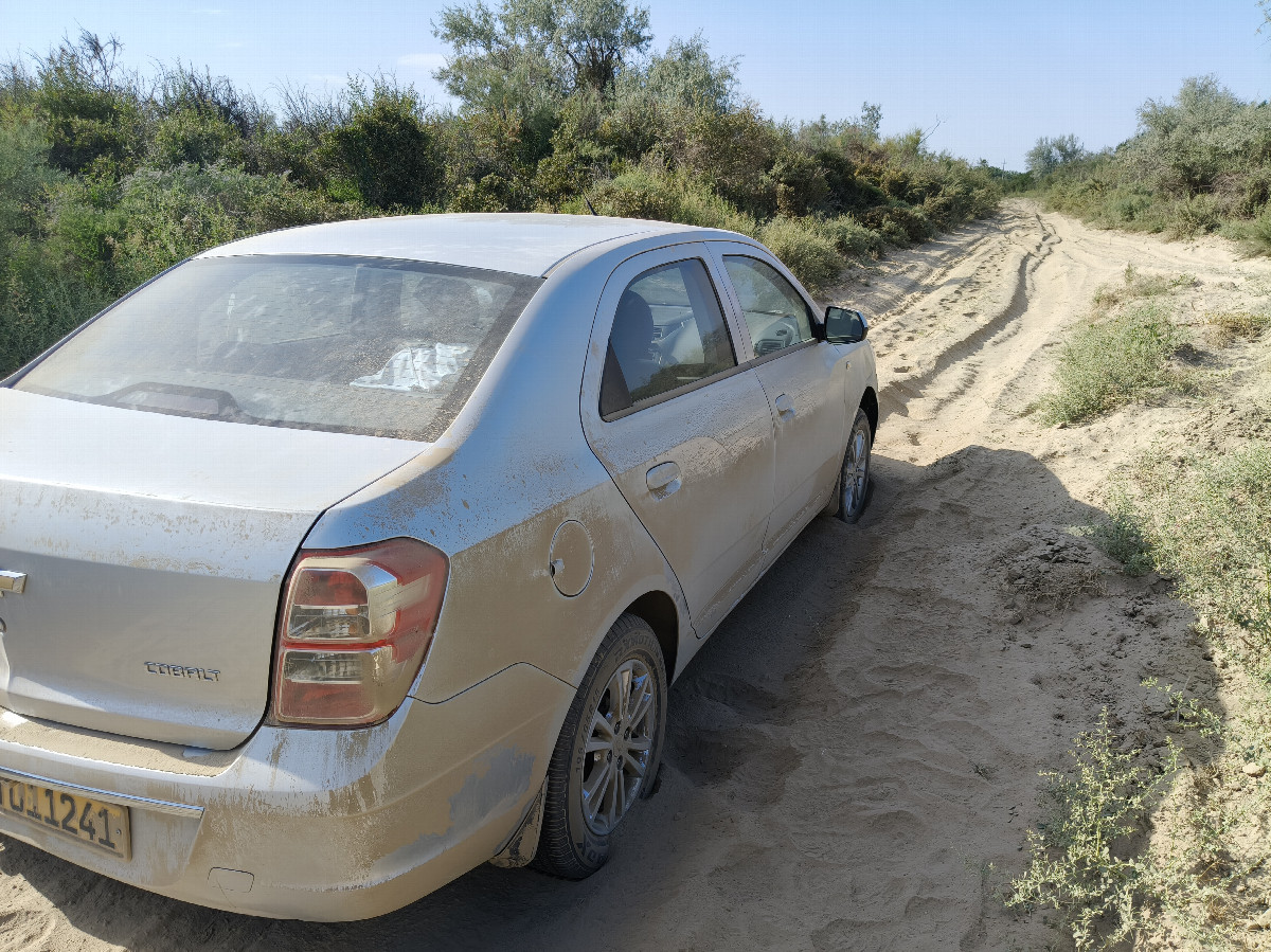 Stuck in the dust
