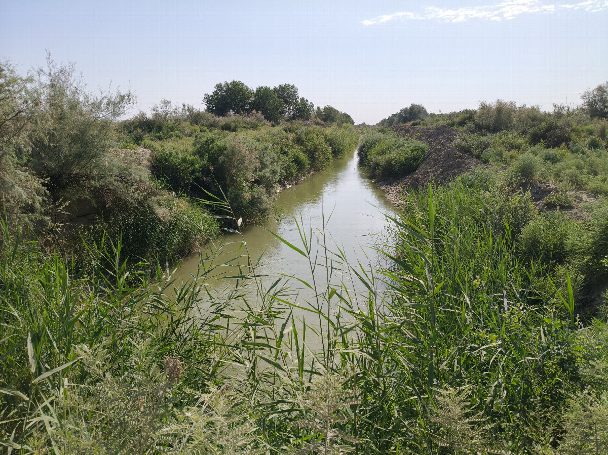 Canal