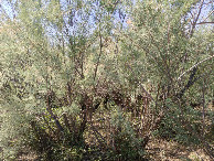 #2: North view