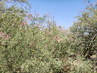 #3: East view