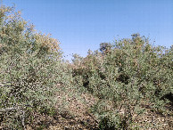#4: South view