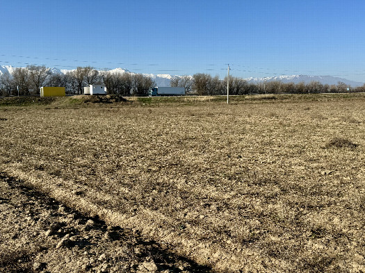 #1: The Confluence from 10m distance 