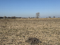 #3: View to the west