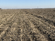 #4: View to the North