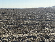 #5: View to the East