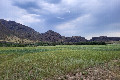 Visit #3: [20-Jul-23]